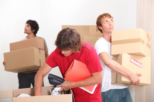 Selection of moving boxes and wrapping materials for local packing
