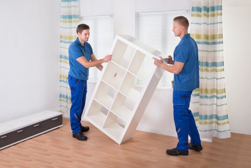 Professional mover carrying belongings through Barnsbury property