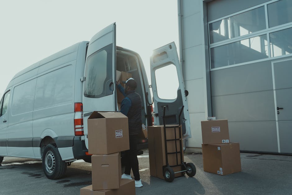 A man with a beard, wearing a black cap, white t-shirt, and blue jeans, is standing inside the open back of a white moving van. He is holding a medium-sized cardboard box in both hands, with additiona